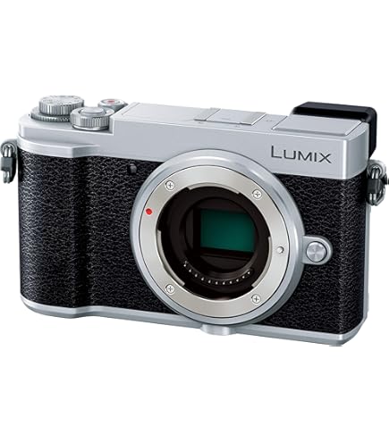 Panasonic - 【美品】PANASONIC パナソニック ミラーレス一眼カメラ LUMIX GF3 ボディ エスプリブラック DMC-GF3-K #LE20250361 Amazon | パナソニック ミラーレス一眼カメラ LUMIX GF3 ボディ